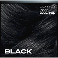 Root Touch-Up Temporary Spray 2in1: 100% gray coverage and volume boost