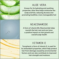 Nioxin Scalp Relief System - Hair Products for Sensitive, Itchy Scalp - Includes Shampoo 200 ml, Conditioner 200 ml and Scalp Treatment 100 ml