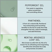 Nioxin Density Defend Styling Root Lifting Spray - Hair Thickening Spray