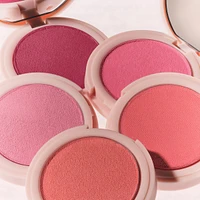 Hybrid Blush