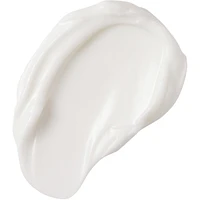 Protect & Perfect Fragrance Free Night Cream