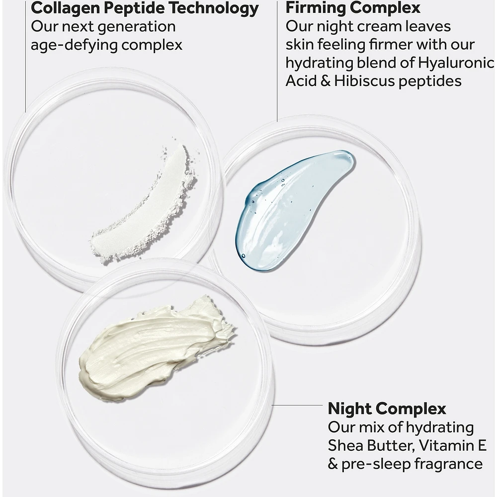 Restore & Renew Fragrance Free Night Cream