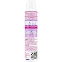Dry Shampoo 24H Fresh