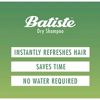 Dry Shampoo, Tropical