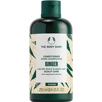Ginger Scalp Care Conditioner