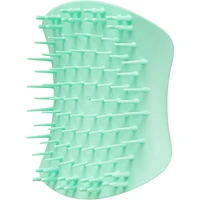 Scalp Brush Mint Green Whisper