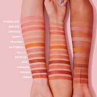 WANDERful World Blushes box o’ powder blush for face