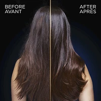 Magnetic Charcoal Purifying Shampoo for Greasy Scalp, Hydrates Dry Ends for Up to 48-Hours, with Charcoal and Nigella Flower Oil