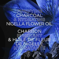 Magnetic Charcoal Purifying Shampoo for Greasy Scalp, Hydrates Dry Ends for Up to 48-Hours, with Charcoal and Nigella Flower Oil