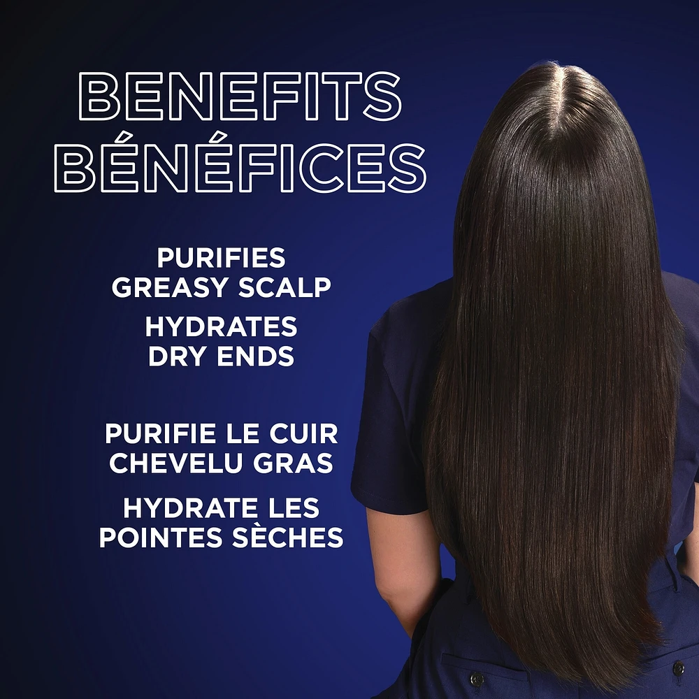 Magnetic Charcoal Purifying Shampoo for Greasy Scalp, Hydrates Dry Ends for Up to 48-Hours, with Charcoal and Nigella Flower Oil