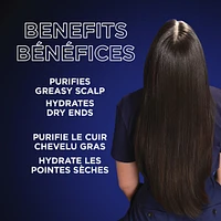 Magnetic Charcoal Purifying Shampoo for Greasy Scalp, Hydrates Dry Ends for Up to 48-Hours, with Charcoal and Nigella Flower Oil