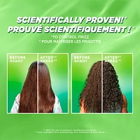 Fructis Sleek & Shine Conditioner