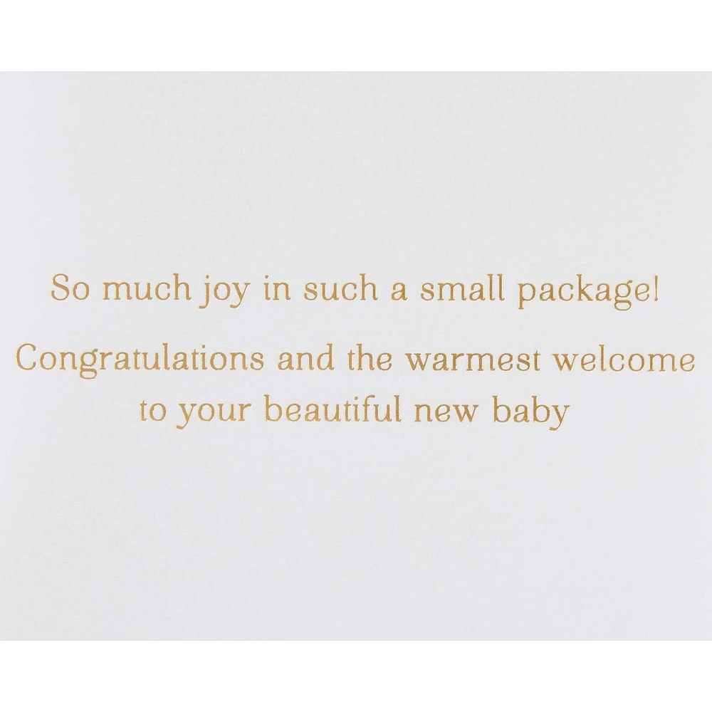 Papyrus Baby Shower Card (Warmest Welcome)
