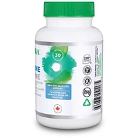 Berberine 500MG 60CAP