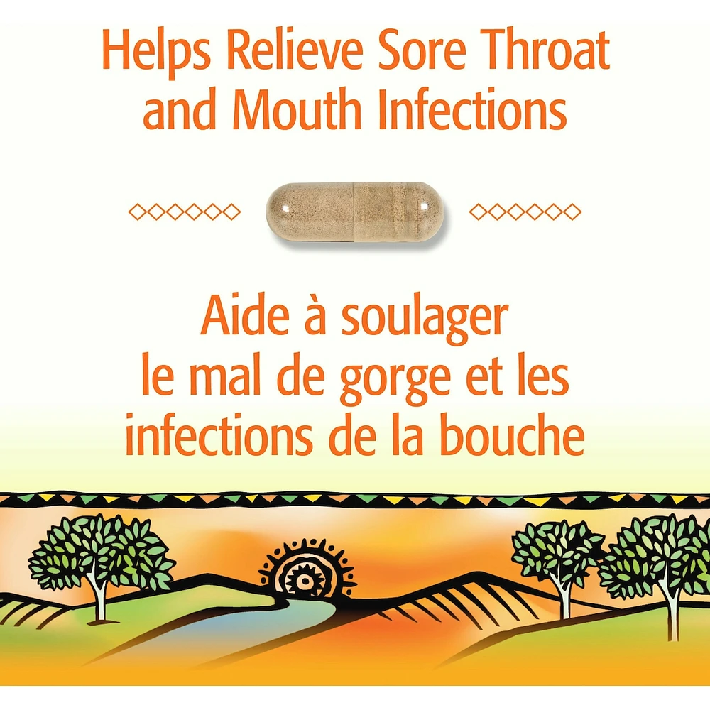 Bee Propolis 500 mg