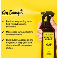 Strictly Curls Extra Hold Curl it Up Volume Boost Spray