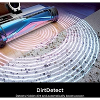 Shark Detect Pro Cordless Stick Vacuum