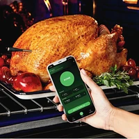 Ninja ProChef Wireless Thermometer