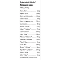 Fermented Organic Vegan Proteins+, Natural Vanilla Protein Powder, 20g Protein