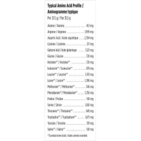 Fermented Organic Vegan Proteins+, Natural Chocolate Protein Powder, 20g Protein
