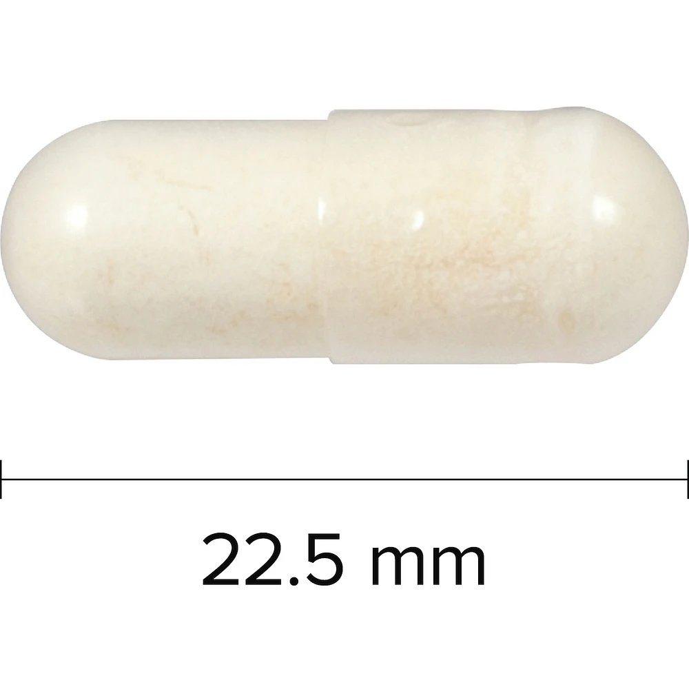 Probiotic Billion 8 Probiotic Strains