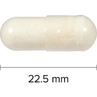 Probiotic Billion 8 Probiotic Strains