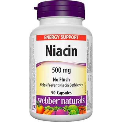 No Flush Niacin 500 mg