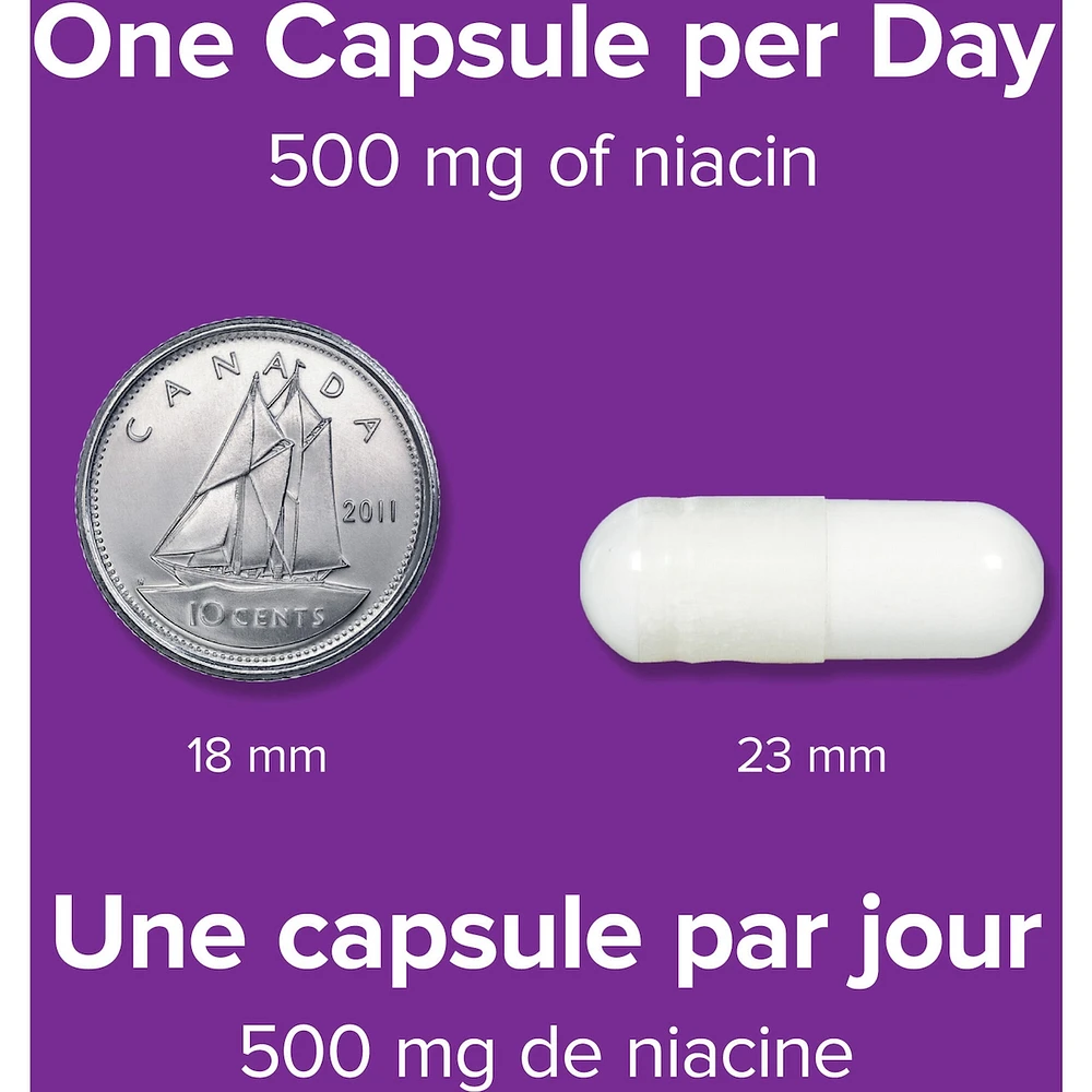 No Flush Niacin 500 mg