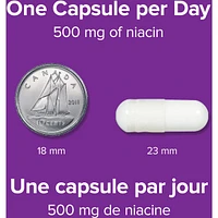 No Flush Niacin 500 mg
