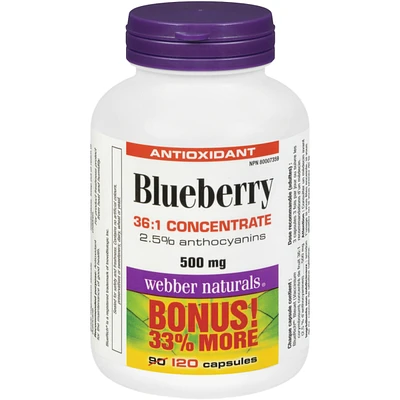 Blueberry 36:1 Concentrate 500 mg