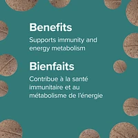 Timed-Release Vitamin B12 1200 mcg