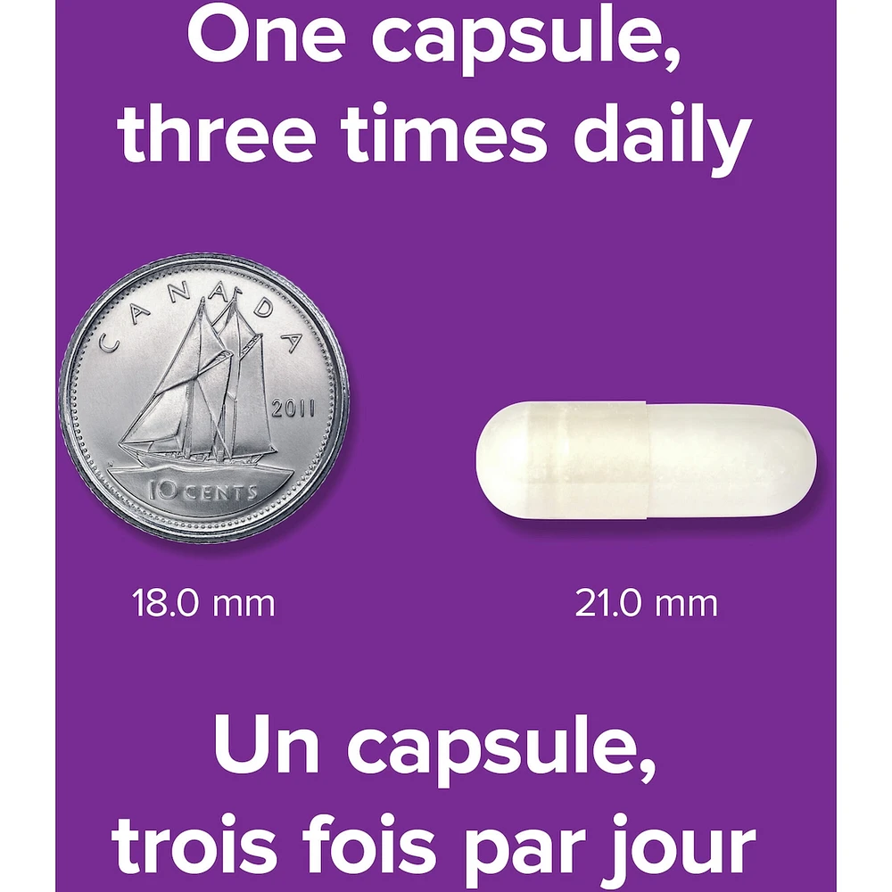 Sulfate de Glucosamine 500 mg