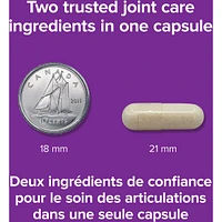 Super NEM® plus UC-II® Collagen