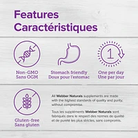 Gentle Iron with Vitamin C, B12, and Folic Acid