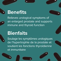 Super Prostate
