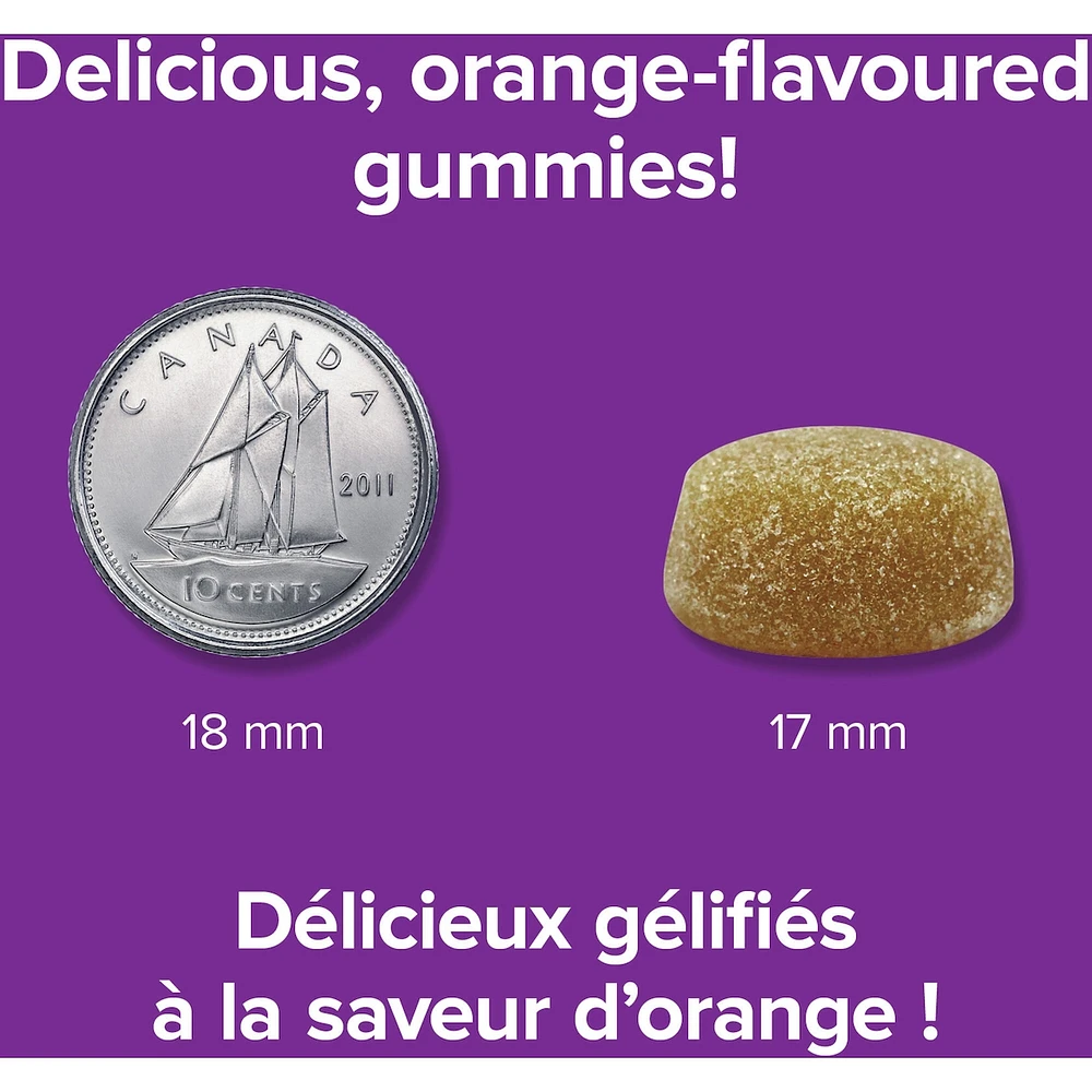 Gentle Iron Gummies