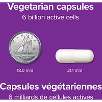Acidophilus Bifidus with FOS 6 Billion Active Cells