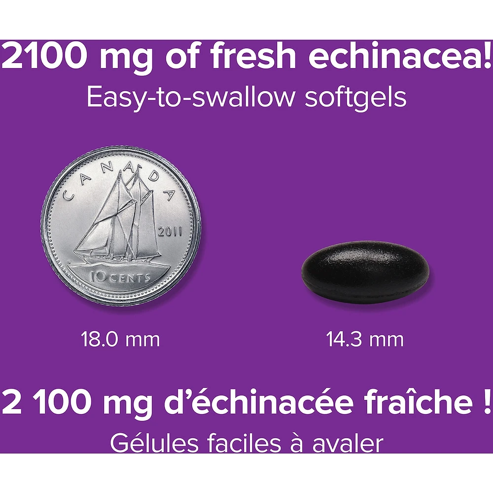 Echinacea Triple Standardized 2100 mg