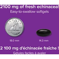 Echinacea Triple Standardized 2100 mg