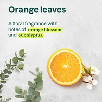 Super Leaves Shampoo - Volume & shine