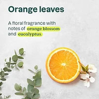 Super Leaves Deodorant - Orange Leaves