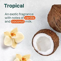 Sunscreen - SPF 30 - Tropical