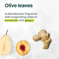 Super Leaves Body Cream