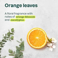 Super Leaves Body Cream - energizing