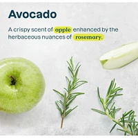 Deodorant - Avocado Oil