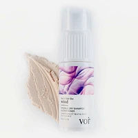 Invisible Dry Shampoo & Conditioner