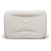 enVy COPPER Pillow