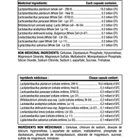 Probiotic, 20 Billion Live Probiotic Cultures