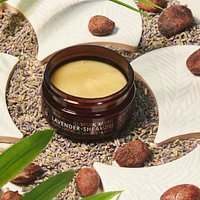Lavender Shea Butter