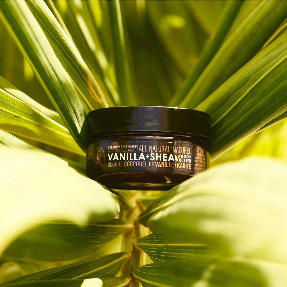 Vanilla Shea Body Butter